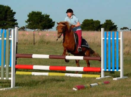 Saddle On Riding School - Brisbane 4u 5