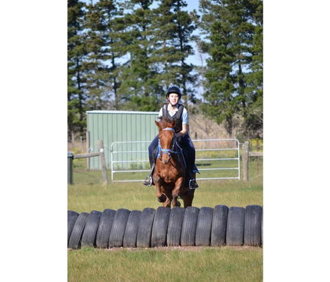 Saddle On Riding School - Brisbane 4u 9