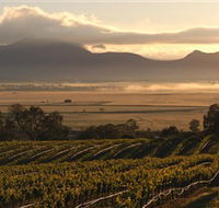 Montara Wines - Brisbane 4u