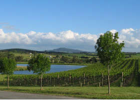 Yarrawood Estate - Brisbane Tourism 0