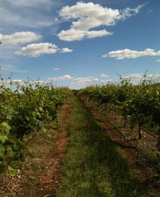 Chambers Rosewood Winery - Brisbane Tourism 0
