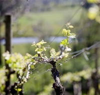 Coldstream Hills - Brisbane 4u