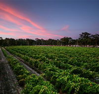 Amherst Winery - Brisbane 4u