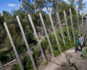 Herring Island Environmental Sculpture Park - Tourism Brisbane 0