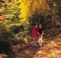 George Tindale Memorial Gardens - Tourism Brisbane