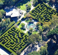 Ashcombe Maze  Lavender Gardens - Tourism Brisbane