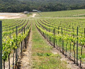 M Chapoutier Australia - Tourism Brisbane 0