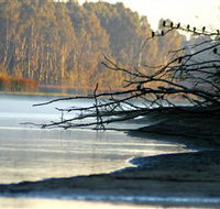Barmah National Park - Tourism Brisbane