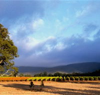Mount Avoca - Brisbane 4u