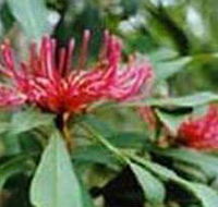 Alfred National Park - Tourism Brisbane
