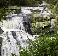 Agnes Falls Scenic Reserve - Brisbane Tourism