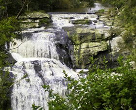 Agnes Falls Scenic Reserve - Brisbane Tourism 0