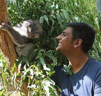 Healesville Sanctuary - Tourism Brisbane