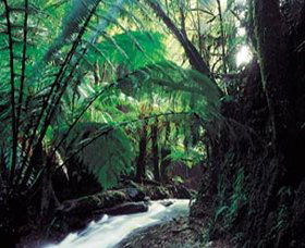 Lavers Hill VIC Brisbane Tourism