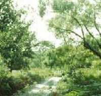 Holey Plains State Park - Tourism Brisbane