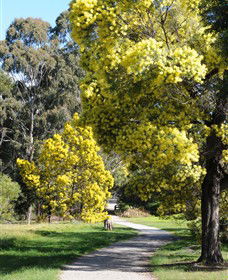 Wattle Park - Tourism Brisbane 0