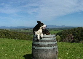 Foster VIC Tourism Brisbane