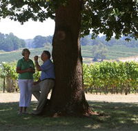 Five Oaks Vineyard - Tourism Brisbane