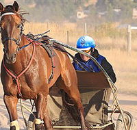 Ballarat  District Trotting Club - Tourism Brisbane