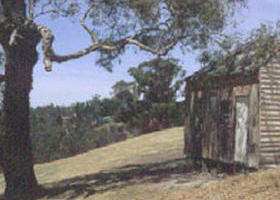 Hawkstowe Picnic Area - Brisbane Tourism 0
