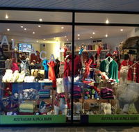 Australian Alpaca Barn - Brisbane Tourism