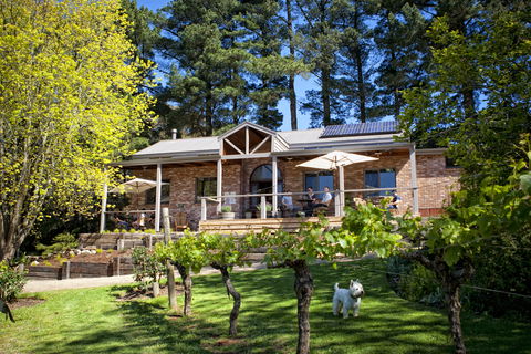 Main Ridge Estate - Brisbane Tourism 2