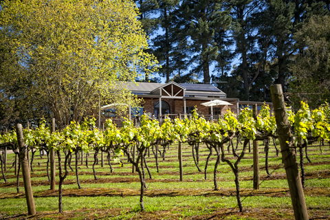 Main Ridge Estate - Brisbane Tourism 3