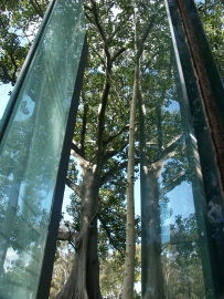 Sydney Sculpture Walk - Tourism Brisbane 0