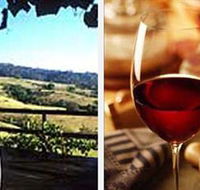 Jasper Valley Wines and Vines Cafe - Tourism Brisbane
