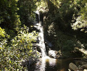 Macquarie Pass National Park - Tourism Brisbane 0