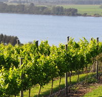 Two Figs Winery - Tourism Brisbane