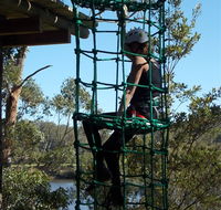 Trees Adventure Shoalhaven - Brisbane 4u