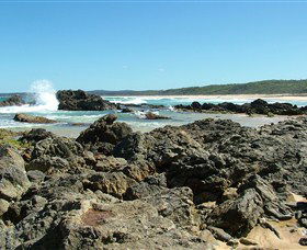 Coastal Walks - Bermagui - Tourism Brisbane 0