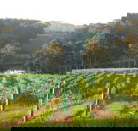 Tilba Valley Wines - Brisbane Tourism