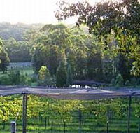 Lyrebird Ridge Organic Winery - Tourism Brisbane