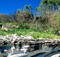 Abrahams Bosom Reserve - Tourism Brisbane