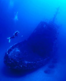 Merimbula Divers Lodge - Tourism Brisbane 0