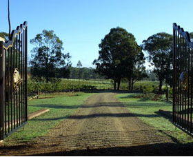 Moorebank Private Vineyard - Brisbane Tourism 3