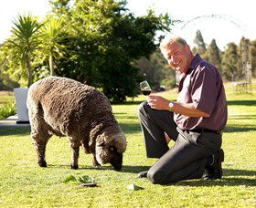 Moorebank Private Vineyard - Brisbane Tourism 2