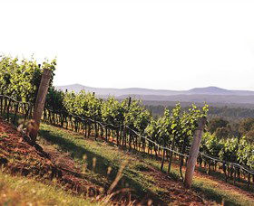 Briar Ridge Vineyard - Tourism Brisbane 1