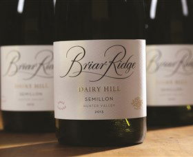 Briar Ridge Vineyard - Tourism Brisbane 0