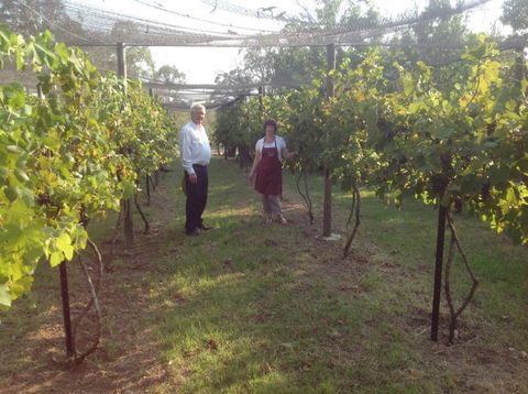 Holland Wines - Tourism Brisbane 8