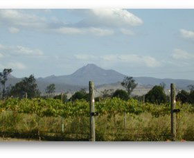 Ironbark Ridge Vineyard - Tourism Brisbane 0