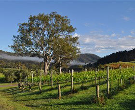 Sarabah Estate Vineyard - Tourism Brisbane 1