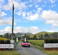Sarabah Estate Vineyard - Tourism Brisbane