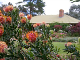 Lavina Wines - Tourism Brisbane 3