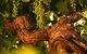 Henschke Cellars - thumb 4