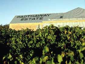 Padthaway Estate Winery - Tourism Brisbane 0
