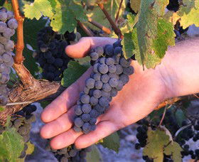 Eagles Rise Wine - Tourism Brisbane 0