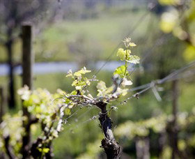 Bellarine Estate - Tourism Brisbane 0